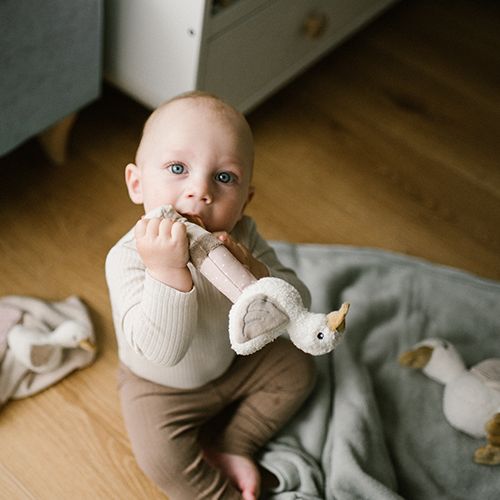 Іграшка з піщалкою та прорізувачем Baby ono Гуска Зоя